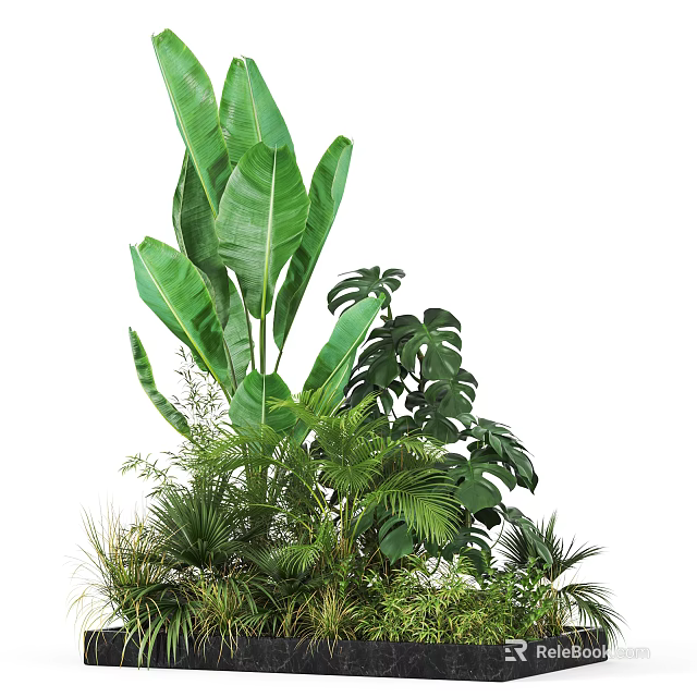 Lush Tropical Green Plants With Various Leafy Species For Indoor Decoration 3d model 