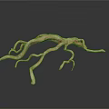 Irregular Animal Vascular Structure With Pink And Yellow Branches On White Background