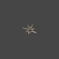 Realistic Marine Cephalopod Model With Spiral Body Extended Tentacles And Large Eye