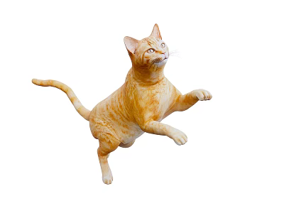 Detailed Orange Reptile in Dynamic Jumping Pose Isolated on White Background 3d model