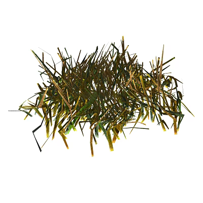 modern grass 3d model