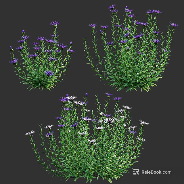 Various Purple White Flowering Plants With Green Stems And Leaves 3d model 