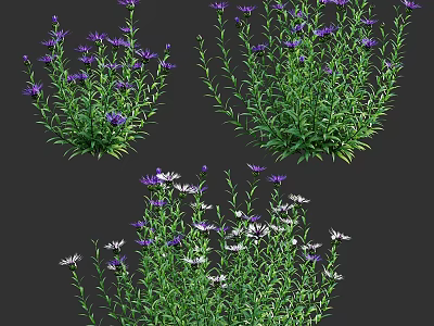 Various Purple White Flowering Plants With Green Stems And Leaves 3d model
