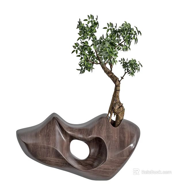 Bonsai Plant With Unique Trunk In Wooden Pot Featuring Hollow Design 3d model 