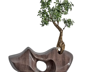 Bonsai Plant With Unique Trunk In Wooden Pot Featuring Hollow Design 3d model