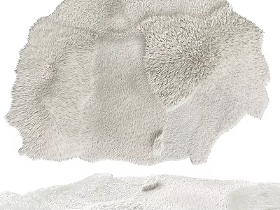 Plush Shaped Rug with Soft Textured Surface for Modern Home Decor 3d model