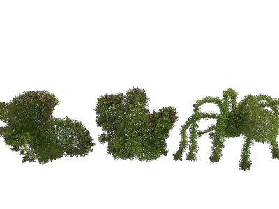 Artistic Topiary Shrubs Shaped Into Various Animal Figures For Garden Design 3d model