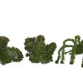 Artistic Topiary Shrubs Shaped Into Various Animal Figures For Garden Design