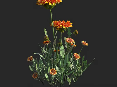 Beautiful Bonsai Potted Plant With Lush Green Leaves And Colorful Orange Yellow Flowers 3d model