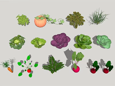 Fresh Colorful Assorted Vegetables Including Tomato Cabbage Carrot Radish Leafy Greens And Herbs 3d model