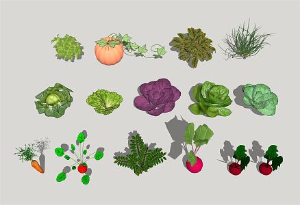 Modern Vegetable Planting 3d model