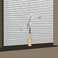 White Orchid Flowers In Light Colored Vase On Windowsill With White Blinds