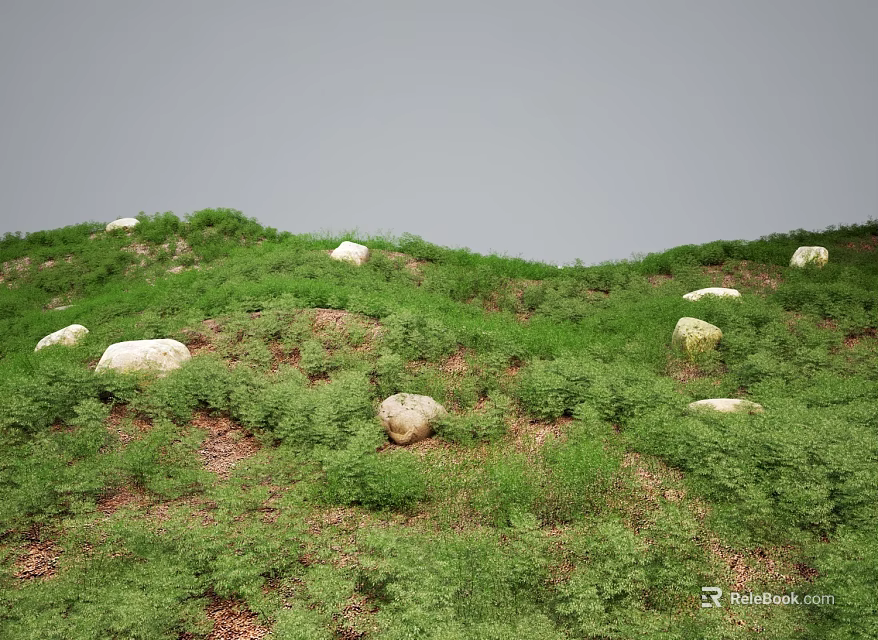 Rolling Green Terrain with Scattered White Boulders and Lush Vegetation Cover 3d model 