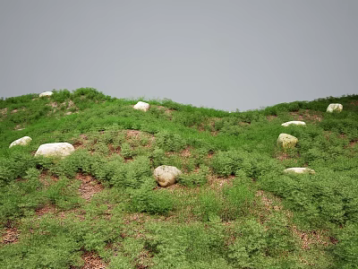 Rolling Green Terrain with Scattered White Boulders and Lush Vegetation Cover 3d model