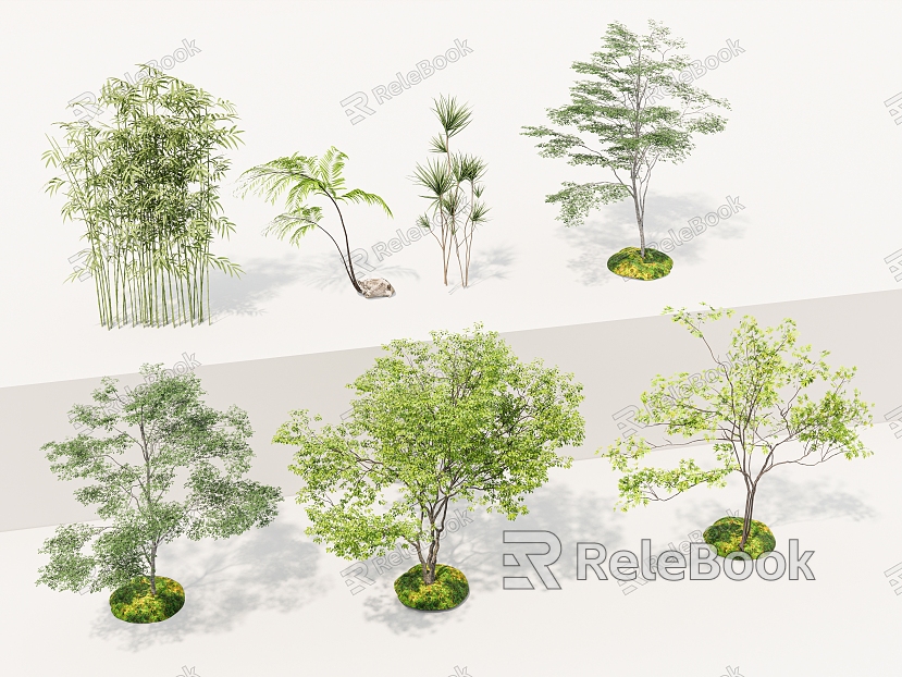 Landscape Tree Fine Branch Tree Bamboo Landscape Bamboo Garden Tree Landscaping Tree Maple Tree Landscape Setches model