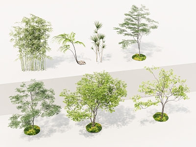 Landscape Tree Fine Branch Tree Bamboo Landscape Bamboo Garden Tree Landscaping Tree Maple Tree Landscape Setches 3d model