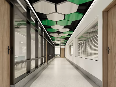 Modern Office Corridor With Hexagonal Ceiling Glass Walls And Wooden Doors 3d model