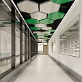 Modern Office Corridor With Hexagonal Ceiling Glass Walls And Wooden Doors