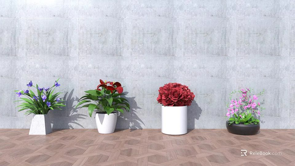 Colorful Potted Plants With White And Black Pots Against Gray Wall On Wooden Floor 3d model 