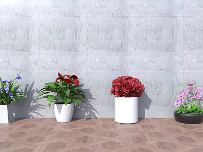 Colorful Potted Plants With White And Black Pots Against Gray Wall On Wooden Floor 3d model