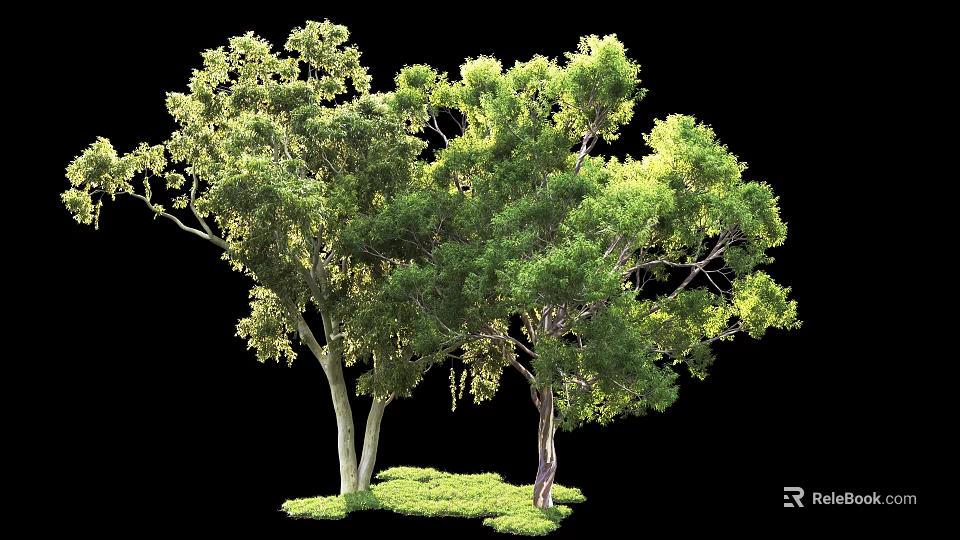 Arbor With Lush Green Leaves And Tall Trunks In Natural Grass Landscape 3d model 