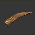 Curved Orange Yellow Bone Like Textured Household Decor Item with Shiny Reflection on Dark Background