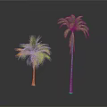 Two Palm Trees One Tall and One Short with Green Leaves Against White Background