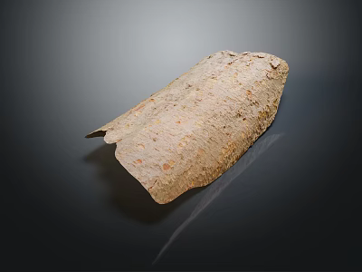 Dried Plant Leaf With Brown Color Spotted Surface And Torn Edges On Dark Background 3d model