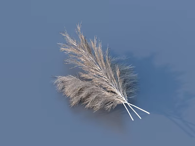 Gray Feathery Floral Sprig Isolated On Blue Background With Shadow 3d model