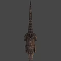 Realistic Crocodile With Open Mouth Detailed Scales And Sharp Teeth On Black Background