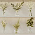 Various Glass Vases With Green Plants White Blooms And Dried Grasses On Shelves