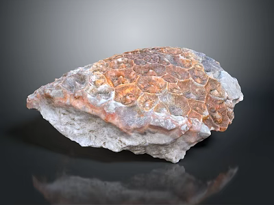 Natural Wood Stone with Intricate Surface Patterns and Earthy Color Tones 3d model
