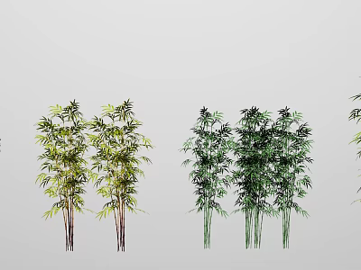 Various Bamboo Plant Varieties With Green and Yellow Leaves and Stems 3d model