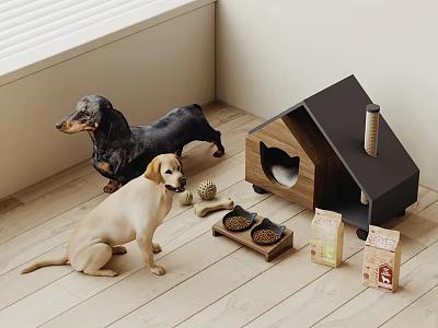 Dogs And Pet Items In Home Setting 3d model