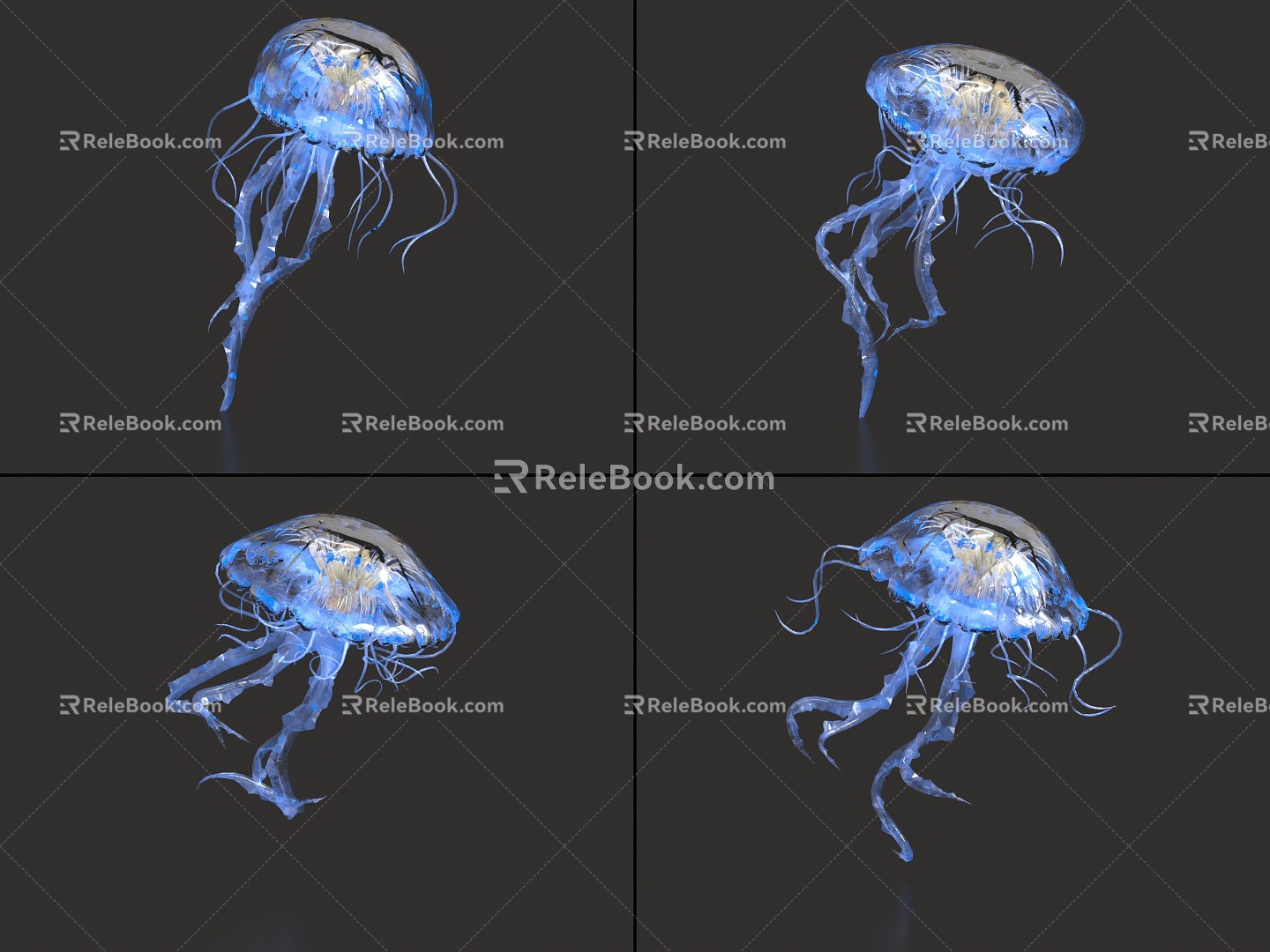 Jellyfish with binding and animation moon jellyfish sea moon jellyfish glowing jellyfish marine life 3d model