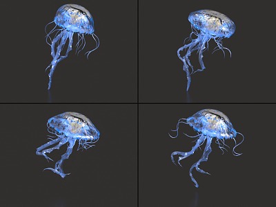 Jellyfish with binding and animation moon jellyfish sea moon jellyfish glowing jellyfish marine life 3d model