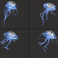 Jellyfish with binding and animation moon jellyfish sea moon jellyfish glowing jellyfish marine life 3d model