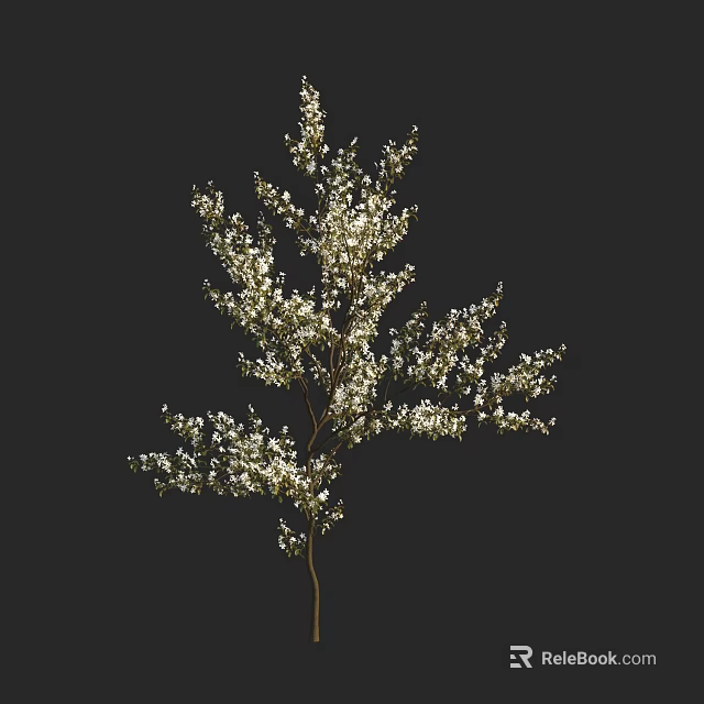 Arbor With Graceful Silhouette Dense Green Foliage And Small White Blossoms On Slender Branches 3d model 