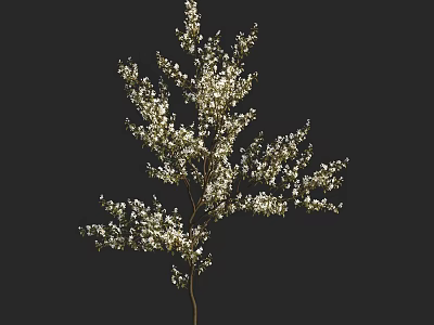 Arbor With Graceful Silhouette Dense Green Foliage And Small White Blossoms On Slender Branches 3d model