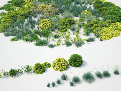 Diverse Flowers And Plants Collection With Green Shrubs And Yellow Blooms 3d model
