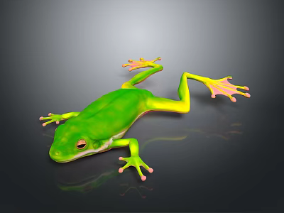 Close Up Of Green Reptile With Yellow Legs And Pink Toes On Black Reflective Background 3d model