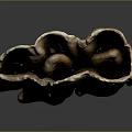 Fossilized Molar Teeth With Brown Beige Textured Surface And Multiple Roots