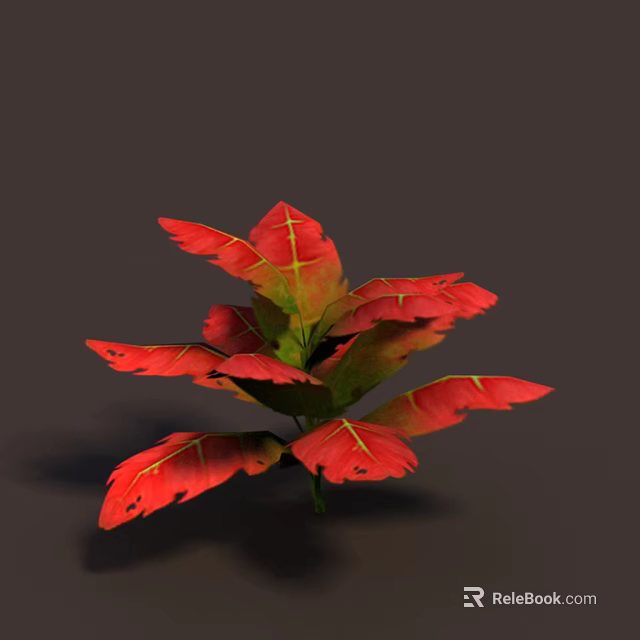 Ornamental Plant With Red And Green Leaves Featuring Yellow Veins Close-up View 3d model 