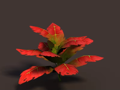 Ornamental Plant With Red And Green Leaves Featuring Yellow Veins Close-up View 3d model
