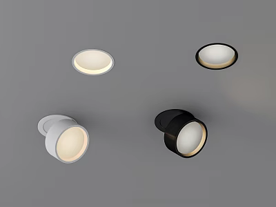 Modern Downlight and Spotlight Fixtures in White and Black on Ceiling Illuminated Design 3d model