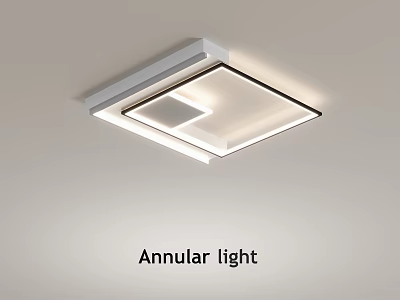 Modern Annular Ceiling Light With Sleek Contemporary Design For Home Interiors 3d model