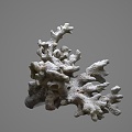 Modern Coral 3d model