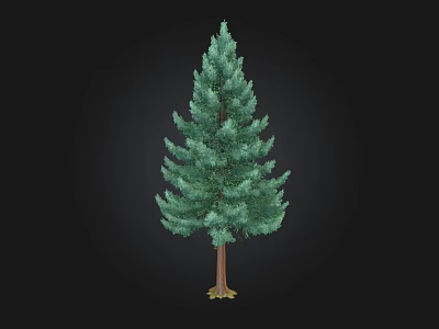 Tall Evergreen Arbor With Lush Green Foliage And Brown Trunk 3d model