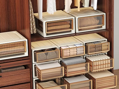 Organized Wardrobe Interior With Layered Wooden Drawers And Transparent Storage Boxes 3d model