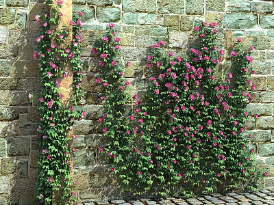 Vines Covering Stone Wall With Pink Flowers And Green Leaves 3d model